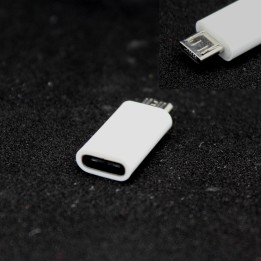 USB C to Micro USB Adapter
