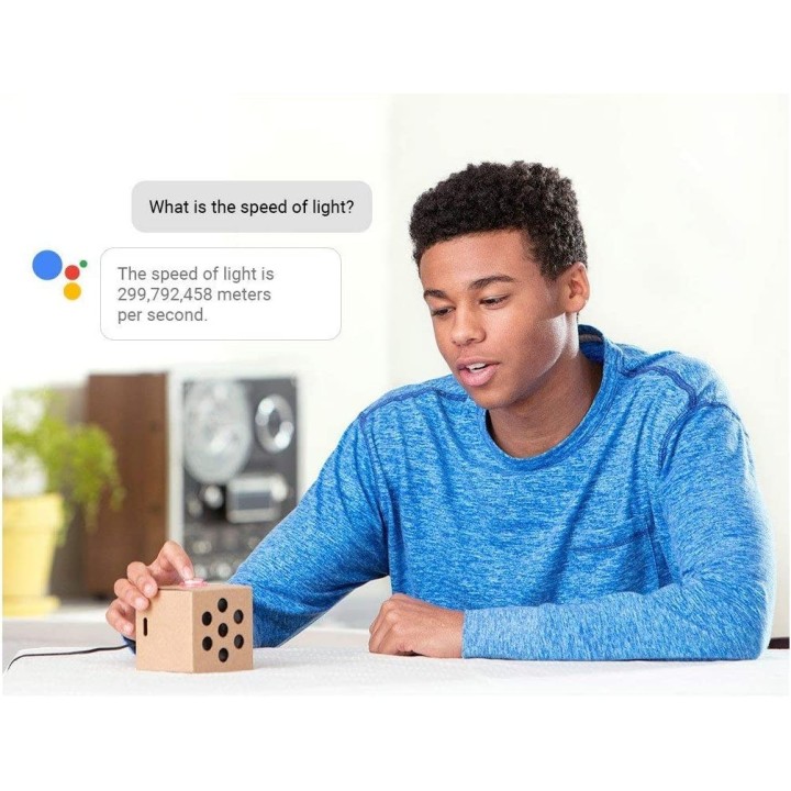 Google Aiy Voice Kit (Raspberry Pi not included)