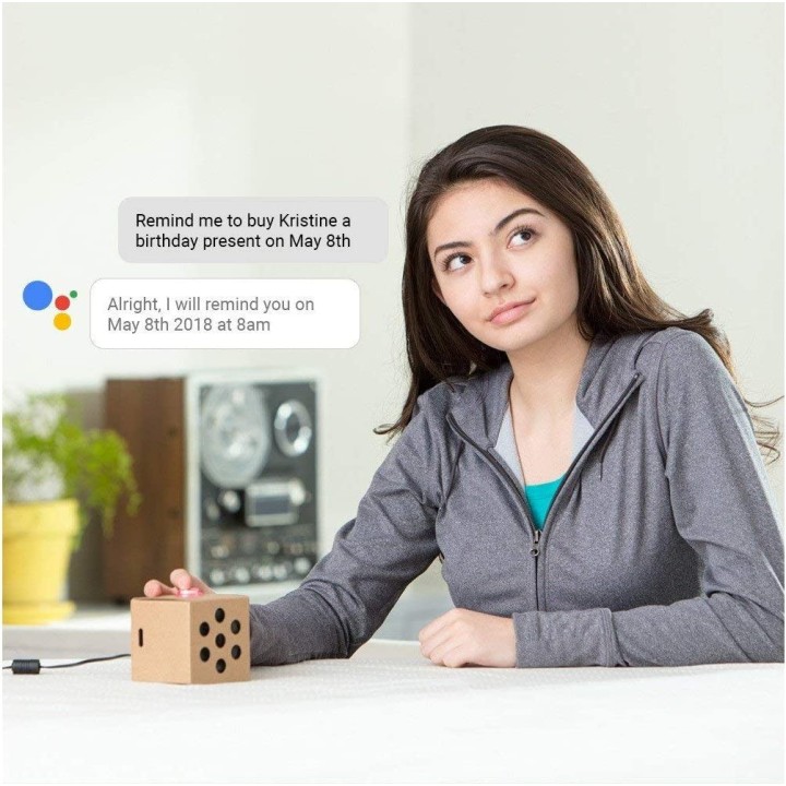 Google Aiy Voice Kit V1 (Raspberry Pi 3 included)