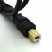 Gold Plated 3ft USB A to B Cable (Arduino USB Cable) 2.0 A Male to B Male 28/24awg