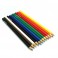 Rainbow Colored Pencils 12 Pack Assorted Non-Toxic Smooth Lead