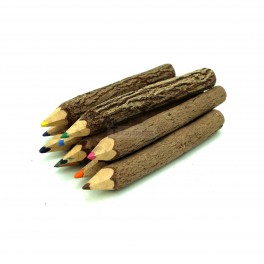 Colored Pencils Made of Real Tree Branches - 10 Pack