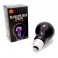 Blacklight Bulb 75 Watt