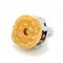 11 Position Rotary Switch: 1P11T