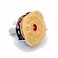 3 Position Rotary Switch: 3P3T