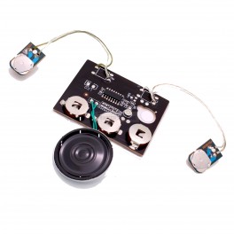 Greeting Card Sound Module