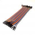 40 Pin Female to Female Ribbon Jumper Cable 
