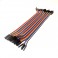 40 Pin Female to Female Ribbon Jumper Cable 