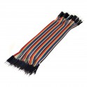 40 Pin Male to Male Ribbon Jumper Cable 