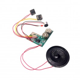 Greeting Card Sound Module