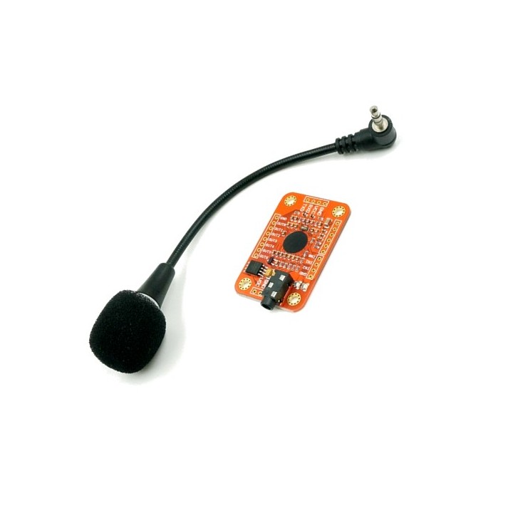 Voice Recognition Module