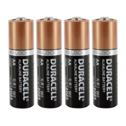 AA Batteries (4 pack)