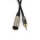 1/8" to XLR Adapter Cable