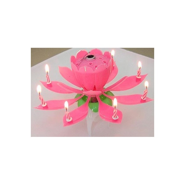 7.99 The Amazing Musical Birthday Candle Tinkersphere