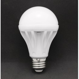 LED Light Bulb - Cool White 7 Watt