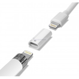 Husarbejde last synd Apple Pencil Charging Adapter - Female to Female Lightning