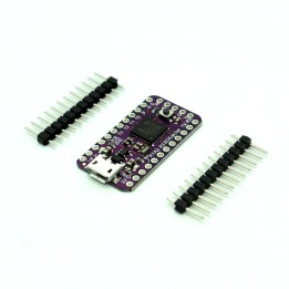 ATSAMD21 Cortex M0 Mini Breakout
